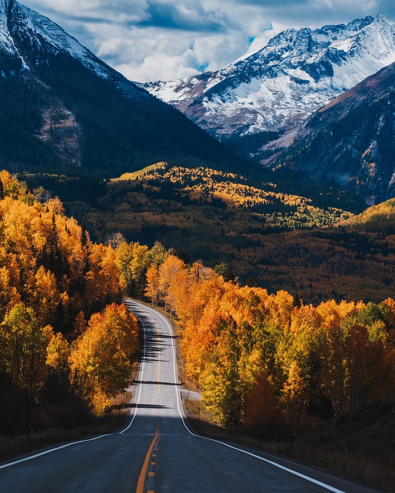 Scenic road trip through the forest