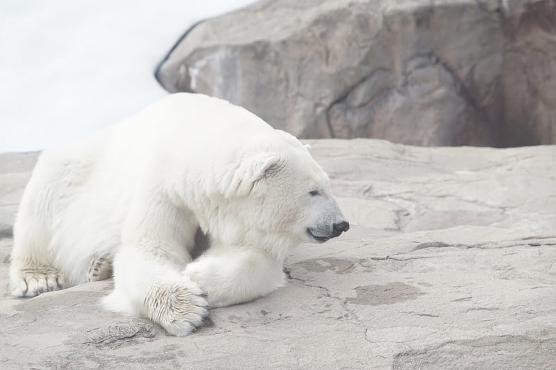 Svalbard, Norway
